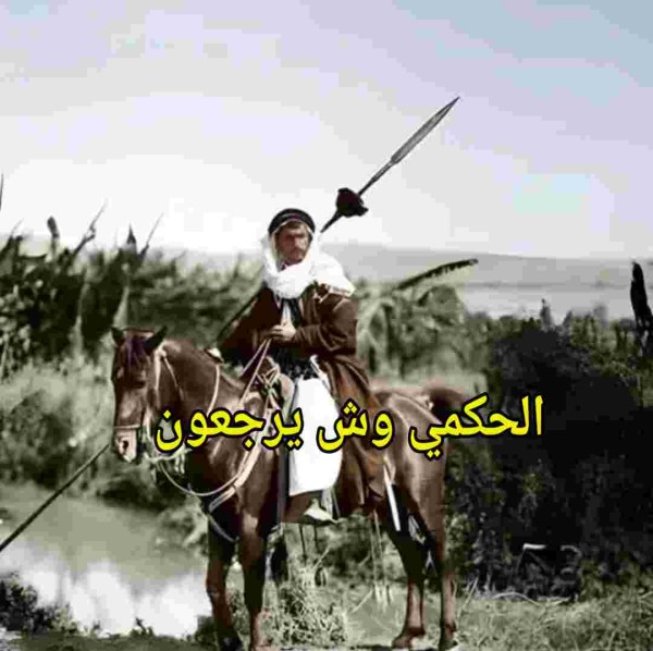 الحكمي في السعودية وش يرجعون؟ فخوذ قبيلة الحكمي؟ شجرة بني الحكم؟ رمز قبيلة الحكمي؟ اصل عائلة الحكمي جازان؟